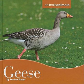 Geese - Book  of the Animals, Animals