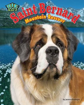 Library Binding Saint Bernard: Mountain Rescuer Book