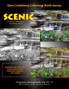 Paperback New Creations Coloring Book Series: Scenic Book