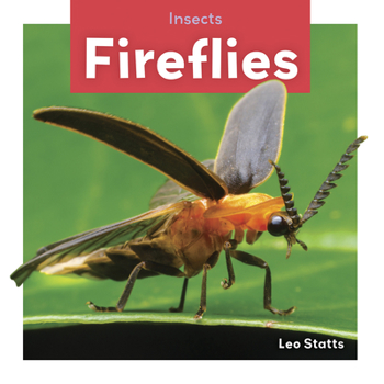 Paperback Fireflies Book