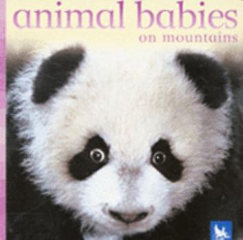 Board book Animal Babies on Mountains Book