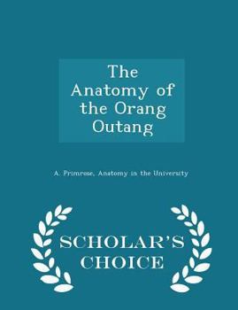 Paperback The Anatomy of the Orang Outang - Scholar's Choice Edition Book