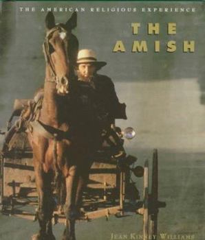 Hardcover The Amish Book