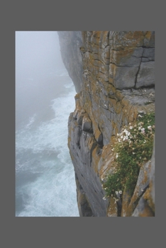 Paperback Rockface: Weathering the Storms Book