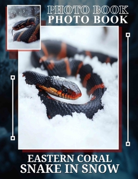 Paperback Eastern Coral Snake In Snow Photo Book: Stunning 40-Image Collection Of Eastern Coral Snakes Amidst Winter Landscapes Book