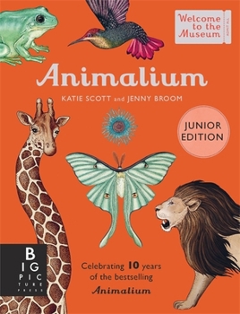 Hardcover Animalium (Junior Edition) (Welcome To The Museum) Book