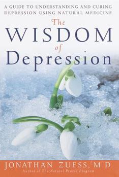 Hardcover The Wisdom of Depression: A Guide to Understanding and Curing Depression Using Natural Medicine Book