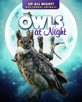 Paperback Owls at Night Book