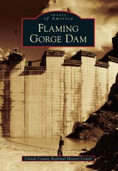 Paperback Flaming Gorge Dam Book