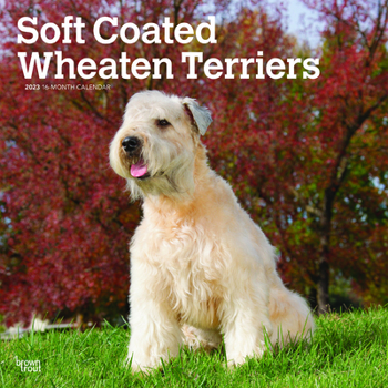Calendar Wheaten Terriers Soft Coated 2023 Square Book