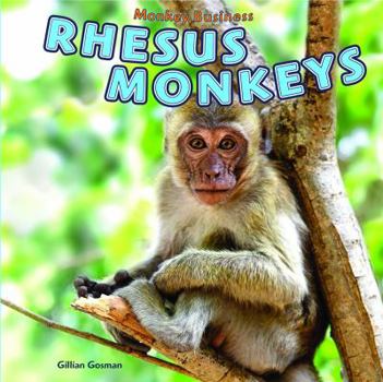 Library Binding Rhesus Monkeys Book