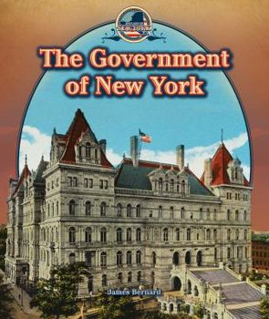 Library Binding The Government of New York Book