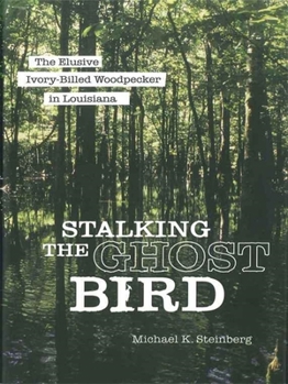 Stalking the Ghost Bird: The Elusive Ivory-billed Woodpecker in Louisiana