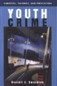 Paperback Youth crime: Varieties, theories, and prevention Book
