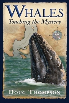 Paperback Whales: Touching the Mystery Book