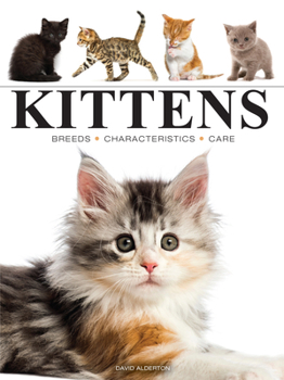 Paperback Kittens Book