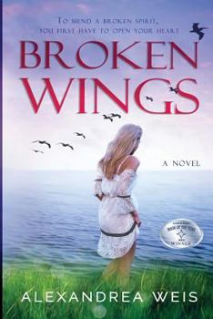 Paperback Broken Wings Book