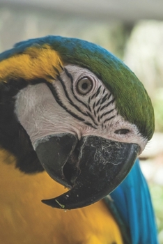 Ara: Notizbuch / Tagebuch Ara - DIN A5 120 Seiten liniert - Geschenke f�r Vogelliebhaber Papagei