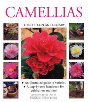 Paperback Camellias: The Little Plant Library Series Book