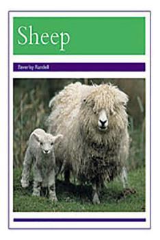 Paperback Animals - Sheep: Individual Student Edition Purple (Levels 19-20) Book