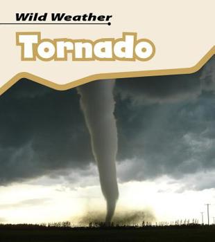 Paperback Tornado Book