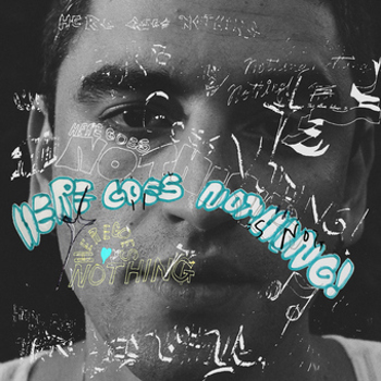 Vinyl Here Goes Nothing! Book