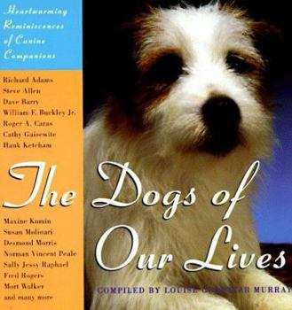 Paperback Dogs of Our Lives Book