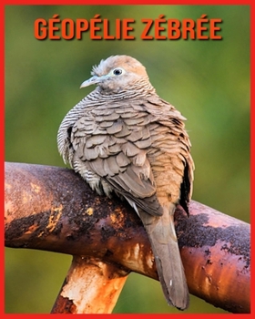 Géopélie Zébrée: Recueil pour Enfants de Belles Images & d’Informations Intéressantes Concernant les Géopélie Zébrée
