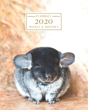 2020: Weekly and Monthly Planner/Calendar Jan 2020 – Dec 2020 Cute Chinchilla