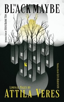 Paperback The Black Maybe: Liminal Tales Book