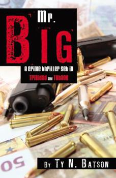 Paperback Mr. Big Book