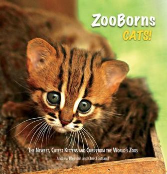 Hardcover ZooBorns Cats!: The Newest, Cutest Kittens and Cubs from the World's Zoos Book