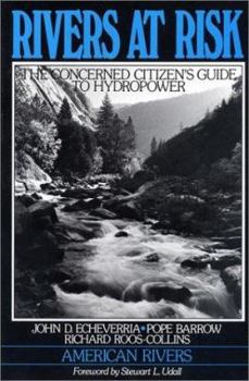 Paperback Rivers at Risk: Concerned Citizen's Guide to Hydropower Book
