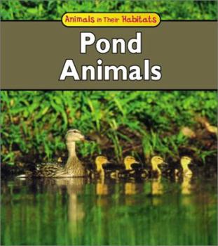 Hardcover Pond Animals Book