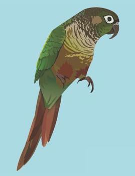 Paperback Composition Notebook: Green Cheek Conure Notebook 100 Pages Blank Lined Paper Book