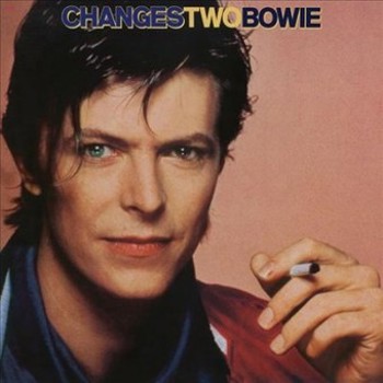 Vinyl Changestwobowie Book