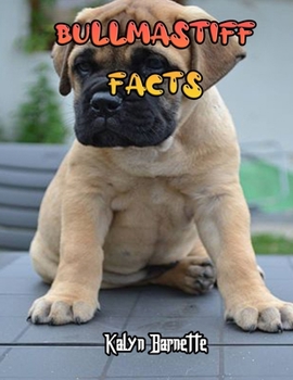 BULLMASTIFF FACTS: BULLMASTIFF fact for girl age 1-10 BULLMASTIFF fact for boy age 1-10 facts about all about BULLMASTIFF