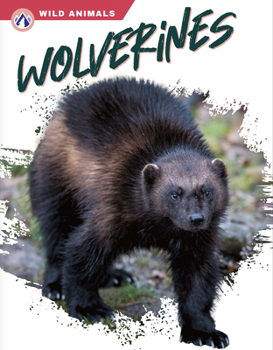 Library Binding Wolverines Book