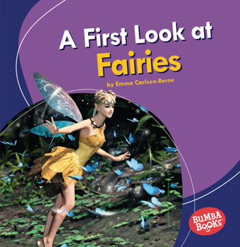 Paperback A First Look at Fairies Book