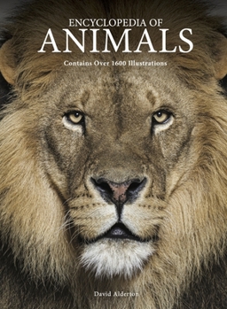 Hardcover Encyclopedia of Animals Book