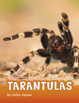 Paperback Tarantulas Book