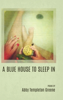 Hardcover A Blue House to Sleep In Book