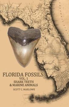 Paperback Florida Fossils: Shark Teeth & Marine Animals Book