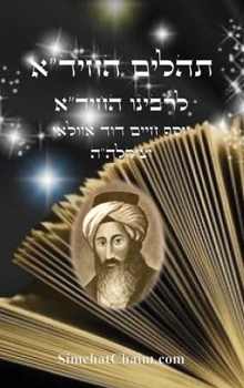 Hardcover תהלים החיד"א: Tehillim Chid"a - Arranged by all letters A-B [Hebrew] [Large Print] Book