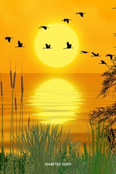 Diabetes Diary: Portable Diabetes, Blood Sugar Logbook. Daily Readings For 106 weeks. Before & After for Breakfast, Lunch , Dinner, Bedtime.