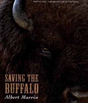 Hardcover Saving the Buffalo Book