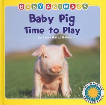 Board book Baby Pig Time to Play Book