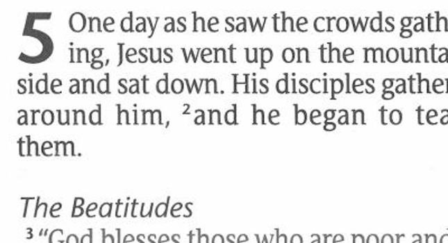 Imitation Leather Large Print Bible-NLT-Compact [Large Print] Book