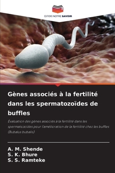 Paperback Gènes associés à la fertilité dans les spermatozoïdes de buffles [French] Book