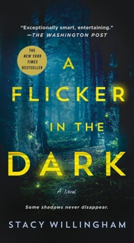 Mass Market Paperback A Flicker in the Dark Book